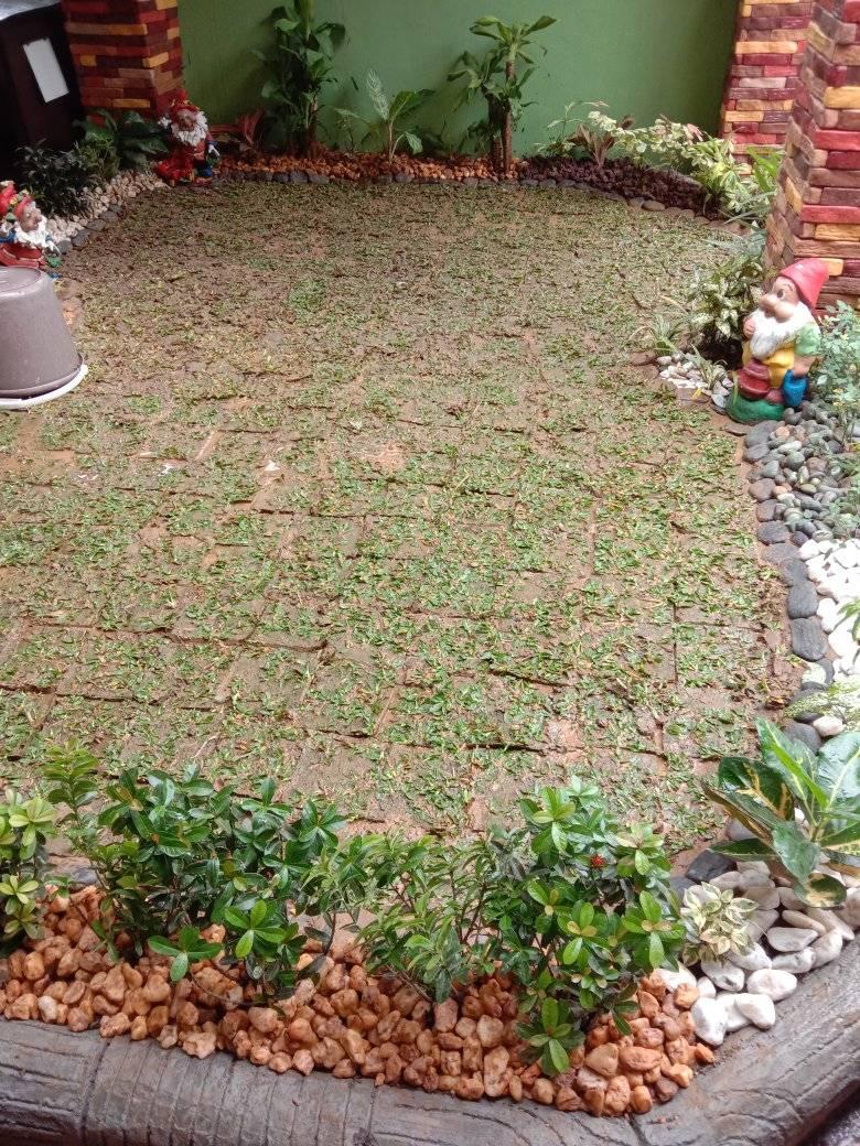 Lawn Care Project 3