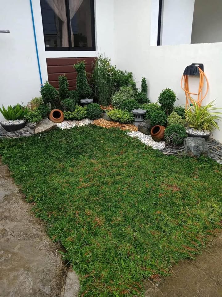 Lawn Care Project 2